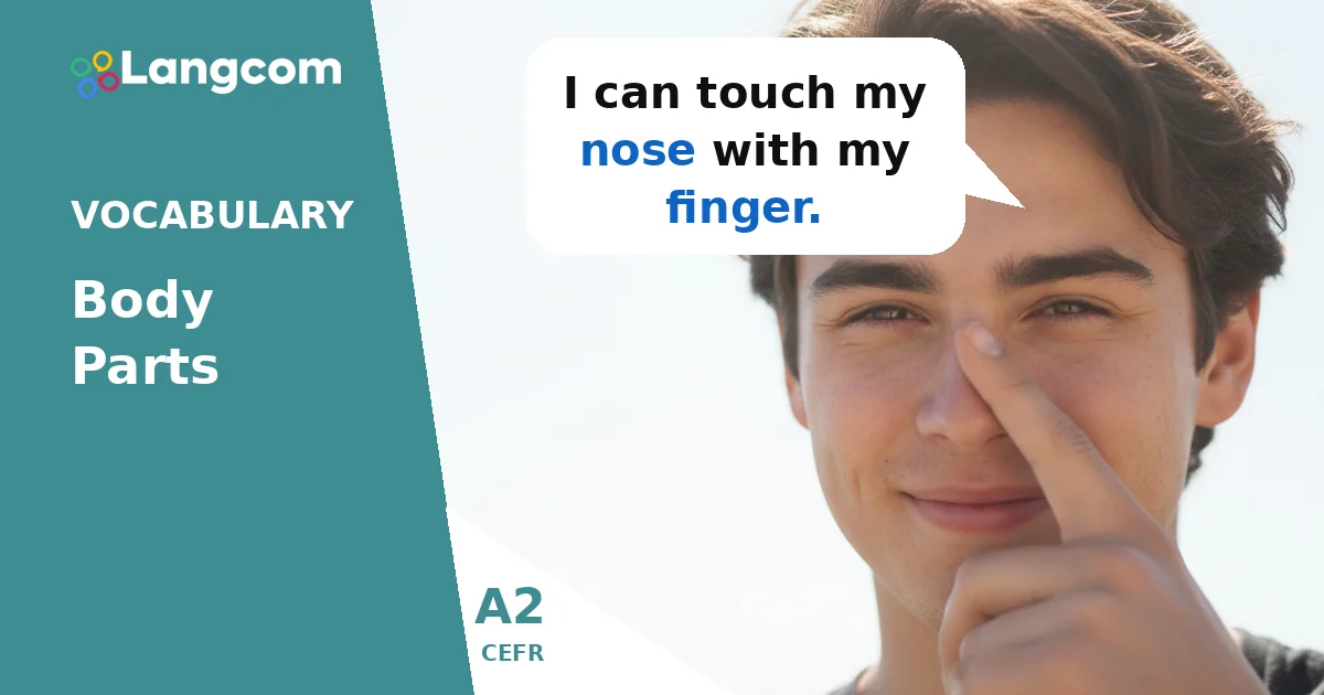 Learn Essential Body Parts in English (A2 Level) — A2 English vocabulary lesson by Langcom