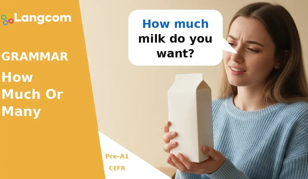 How Much or How Many? English Questions for Pre-A1 Learners